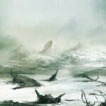 Wasteland La Belle et la Bête 1ère partie